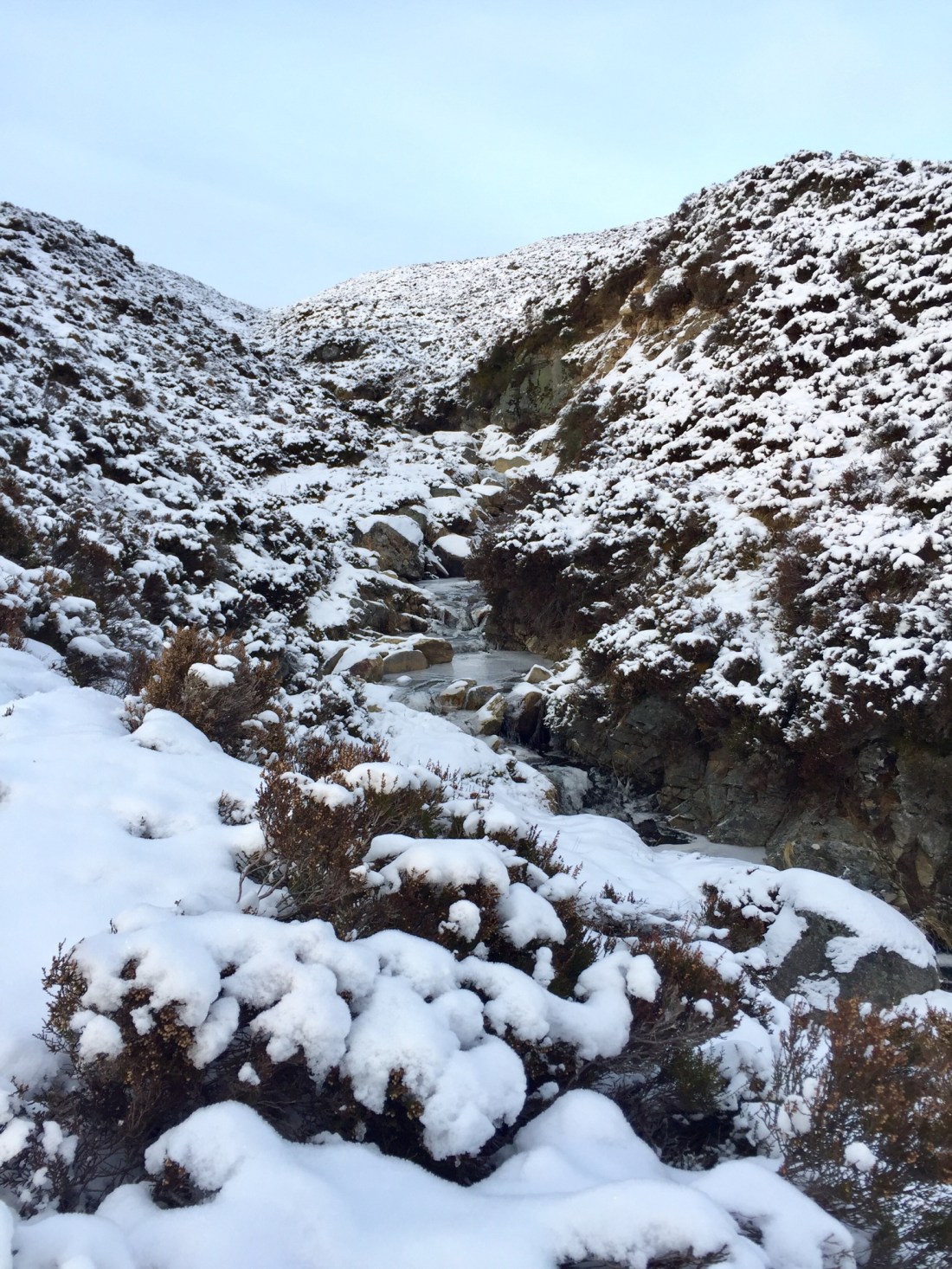 37D95510-BEB1-450B-9B00-8C125C1C8F5A