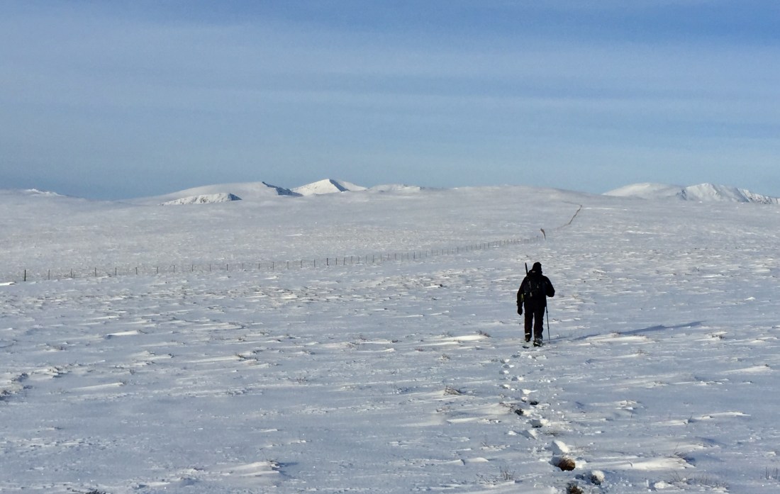 9DDC89E8-4F0C-41CC-B4AC-FB28CC3A1A21