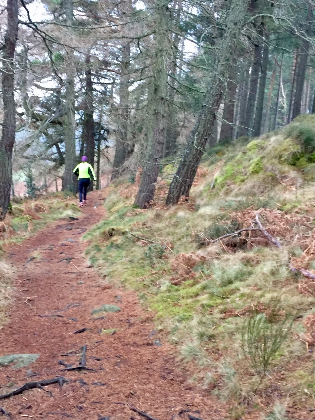 C65EDAE9-6E8A-4388-8995-A2297EE930F5