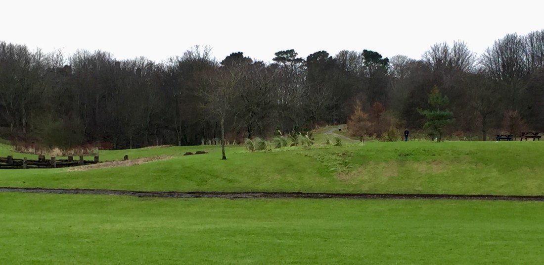 C801D55C-EB1E-478D-A28C-53D085EA02BD