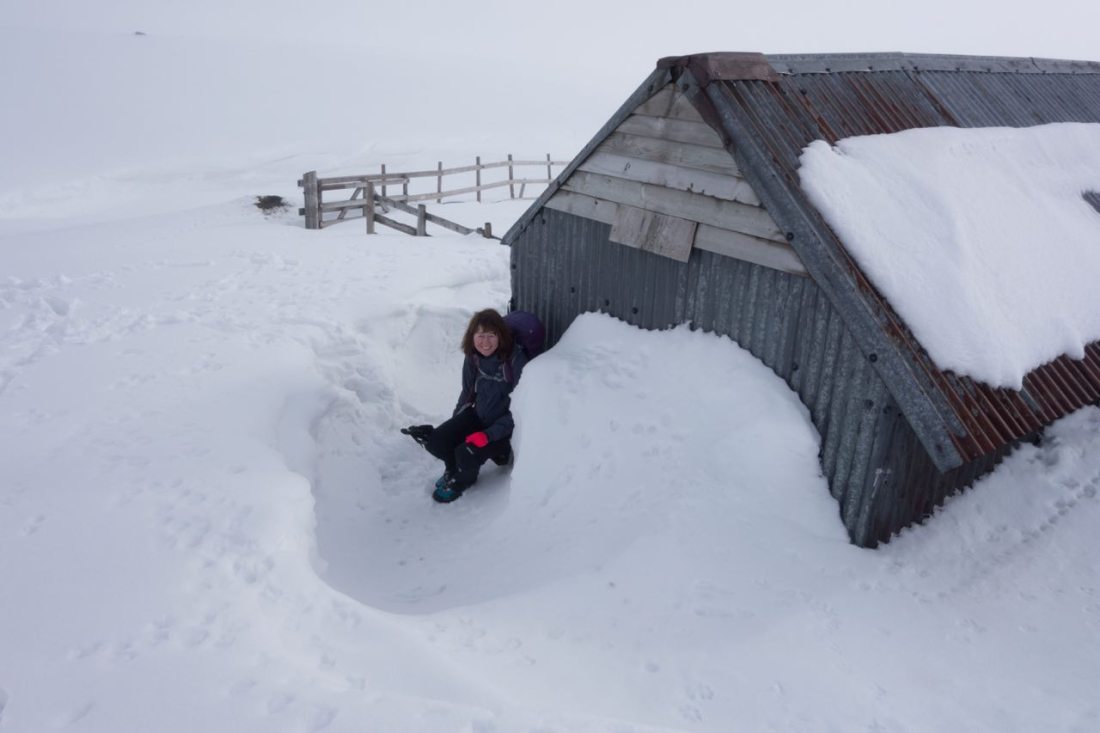 AE1FAFD5-CEB8-4C4F-981E-1307A08F5D52