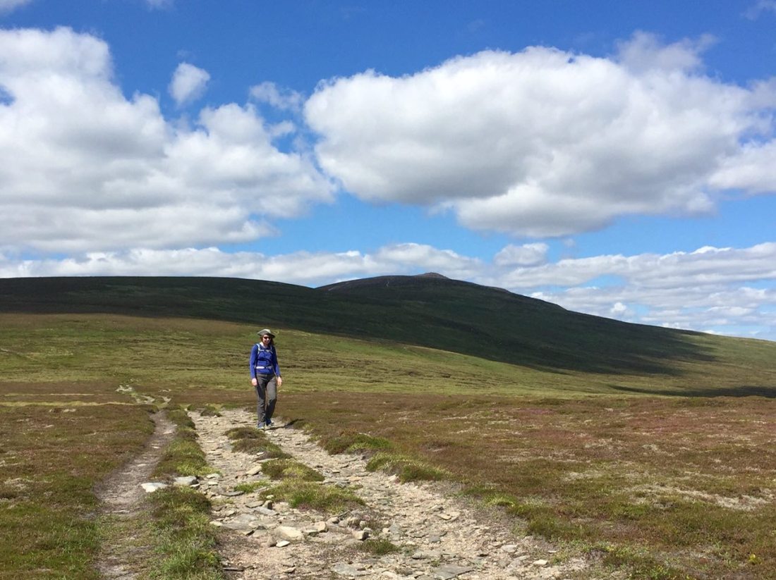 1BFA45B3-9905-4528-B1A4-6CA43F9CB98D