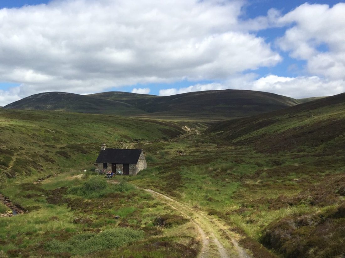 2D668F8B-C6B6-48B5-8B1B-7A34F798A4E1