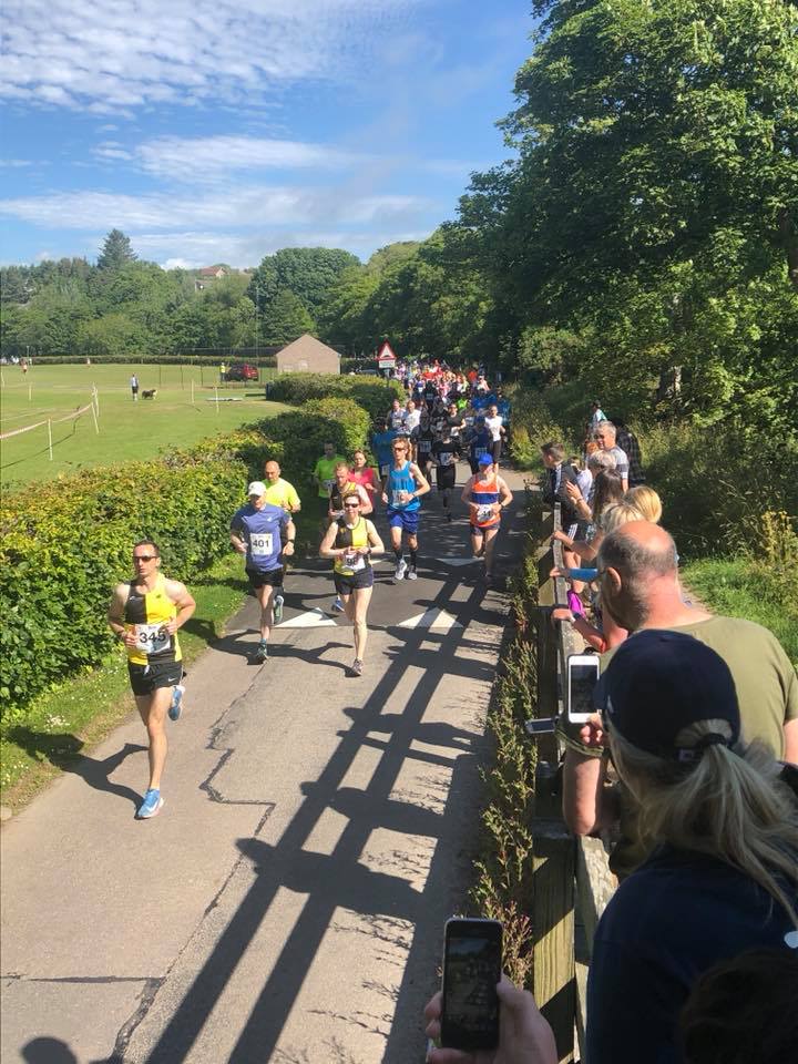 36333264_670539185036_1287244768543244288_n