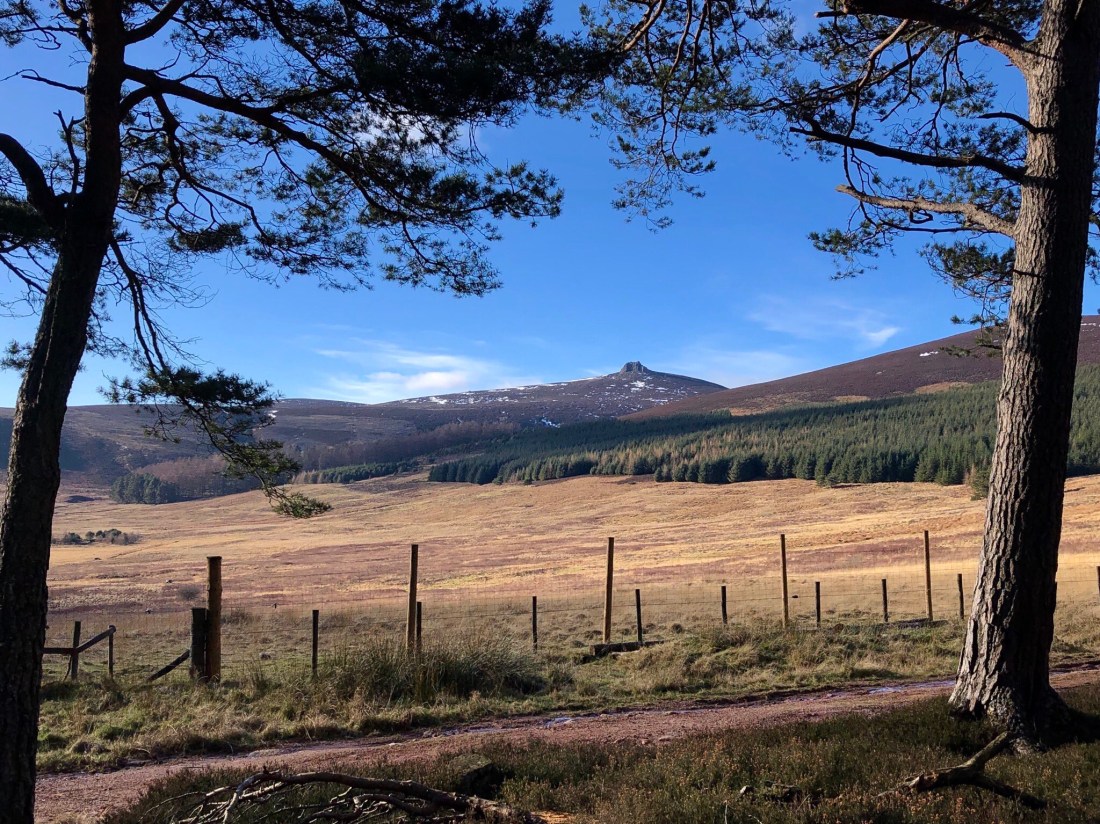 The view towards Clachnaben