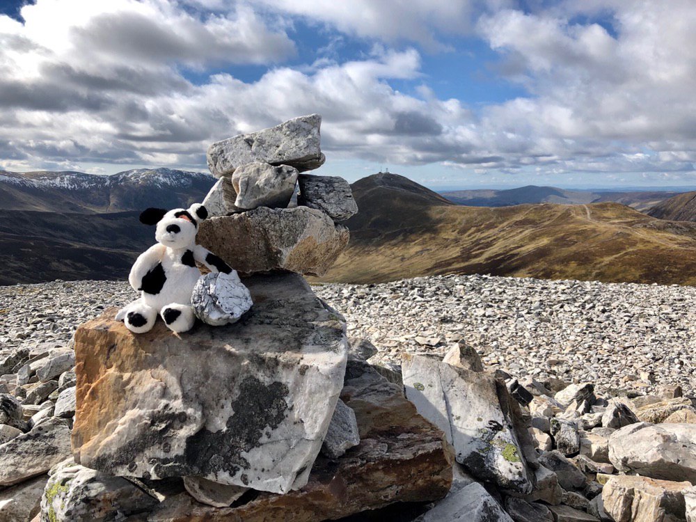 Charlie dog: on top of Carn Aosda #50in150
