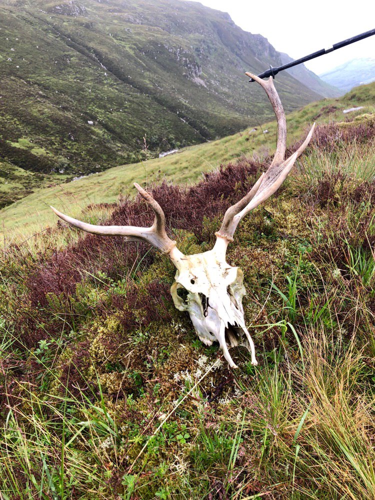 9DD180D8-4B04-4636-B528-EA8E29FB681C