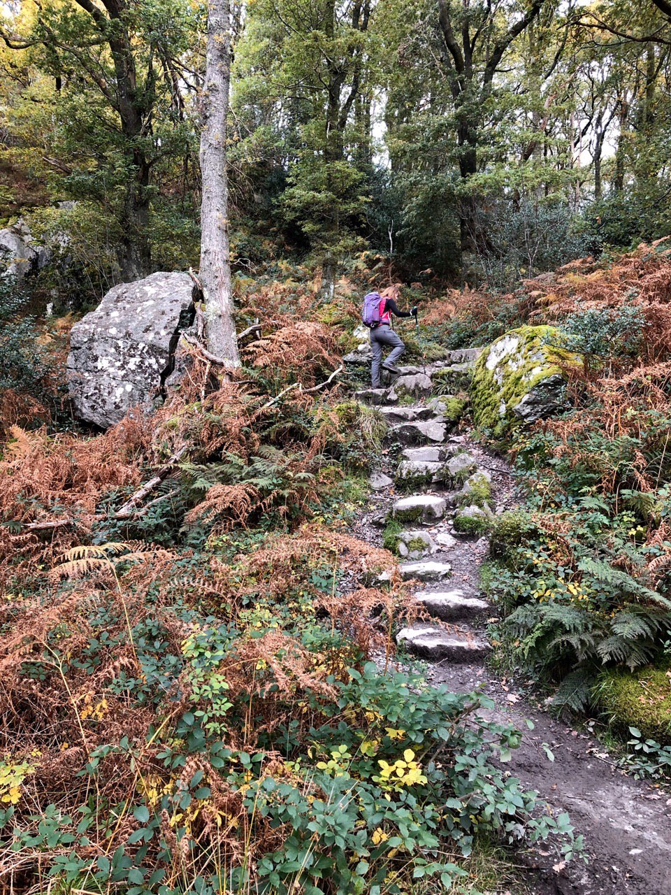 Undulations on the West Highland Way, Balmaha to Rowardennan