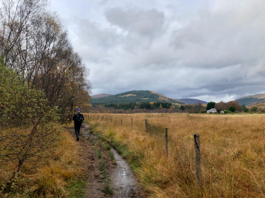 C448B17C-7813-476A-BCB8-06A255FCE306