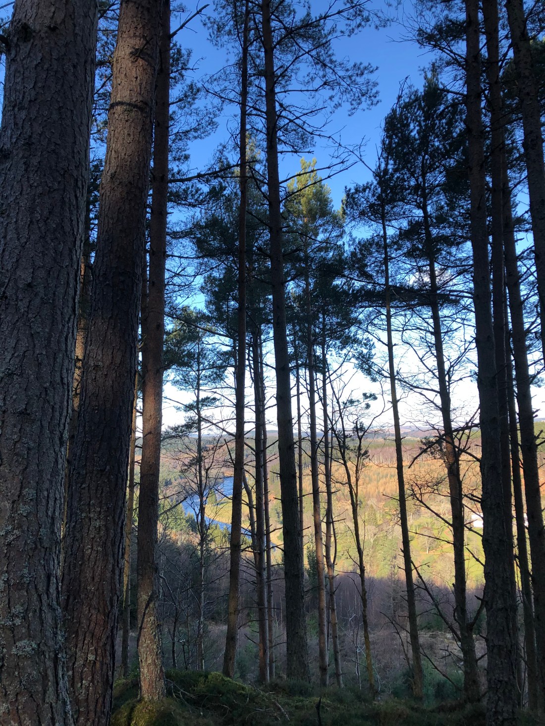 Views from Scolty trails overlooking River Dee